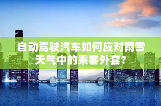 自动驾驶汽车如何应对雨雪天气中的乘客外套？