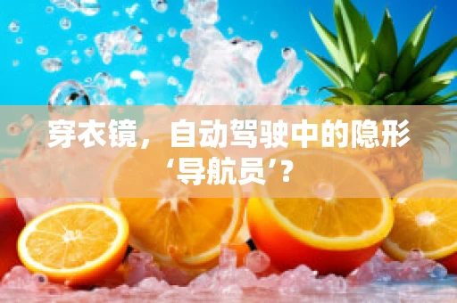 穿衣镜，自动驾驶中的隐形‘导航员’？