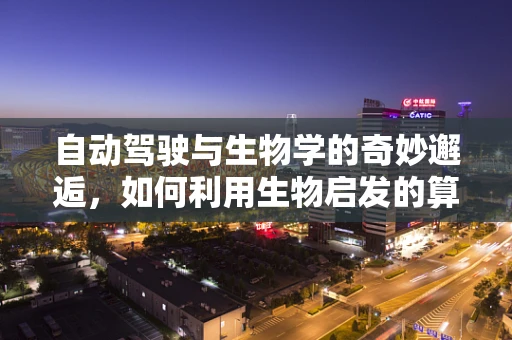 自动驾驶与生物学的奇妙邂逅，如何利用生物启发的算法优化决策？