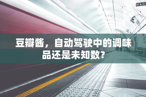 豆瓣酱，自动驾驶中的调味品还是未知数？