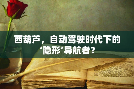 西葫芦，自动驾驶时代下的‘隐形’导航者？