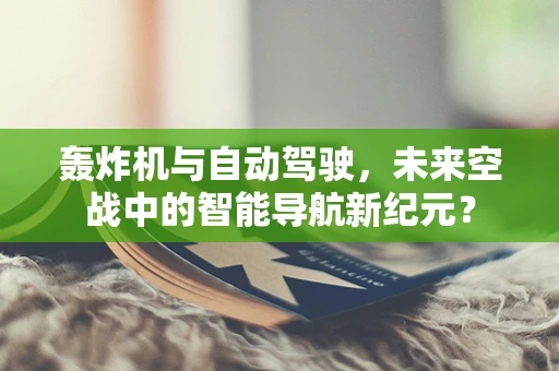 轰炸机与自动驾驶，未来空战中的智能导航新纪元？