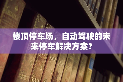 楼顶停车场，自动驾驶的未来停车解决方案？