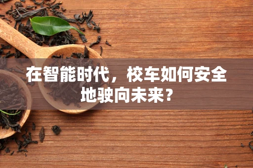 在智能时代，校车如何安全地驶向未来？