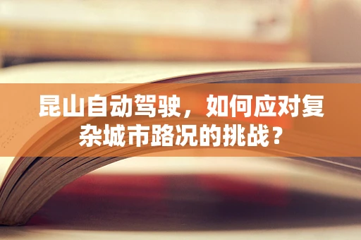 昆山自动驾驶，如何应对复杂城市路况的挑战？