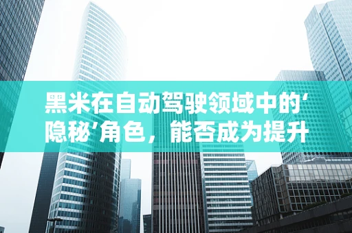 黑米在自动驾驶领域中的‘隐秘’角色，能否成为提升感知精度的关键？