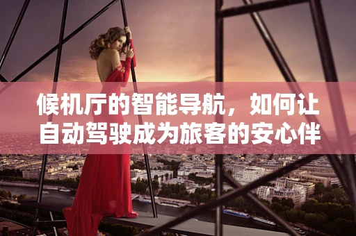 候机厅的智能导航，如何让自动驾驶成为旅客的安心伴侣？