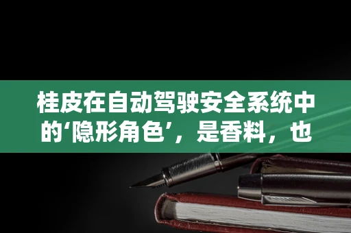 桂皮在自动驾驶安全系统中的‘隐形角色’，是香料，也是守护者？