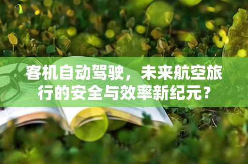 客机自动驾驶，未来航空旅行的安全与效率新纪元？