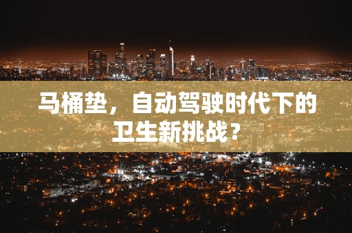 马桶垫，自动驾驶时代下的卫生新挑战？