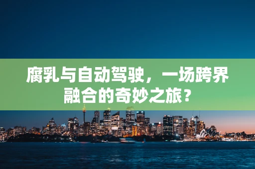 腐乳与自动驾驶，一场跨界融合的奇妙之旅？
