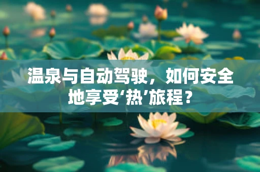 温泉与自动驾驶，如何安全地享受‘热’旅程？