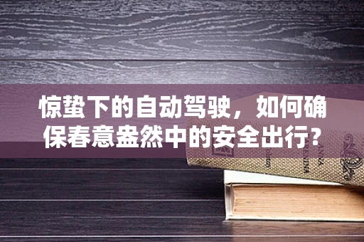 惊蛰下的自动驾驶，如何确保春意盎然中的安全出行？