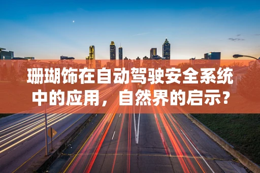 珊瑚饰在自动驾驶安全系统中的应用，自然界的启示？