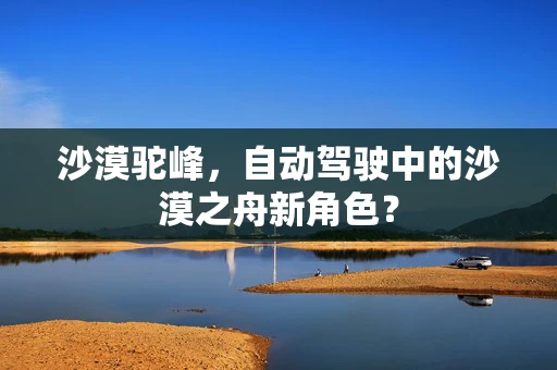 沙漠驼峰，自动驾驶中的沙漠之舟新角色？