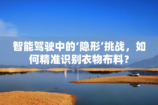 智能驾驶中的‘隐形’挑战，如何精准识别衣物布料？
