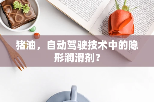 猪油，自动驾驶技术中的隐形润滑剂？