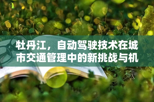 牡丹江，自动驾驶技术在城市交通管理中的新挑战与机遇？