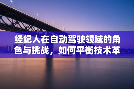 经纪人在自动驾驶领域的角色与挑战，如何平衡技术革新与法规框架？