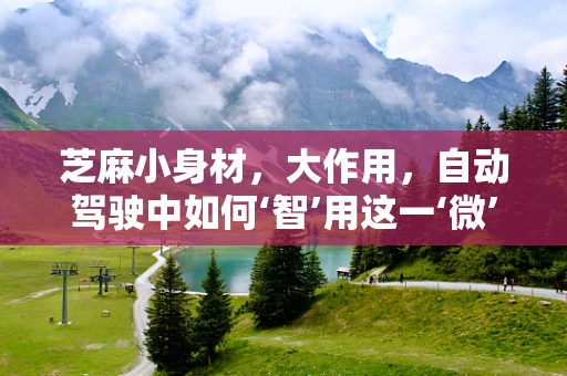 芝麻小身材，大作用，自动驾驶中如何‘智’用这一‘微’小元素？