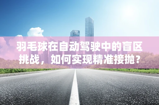 羽毛球在自动驾驶中的盲区挑战，如何实现精准接抛？
