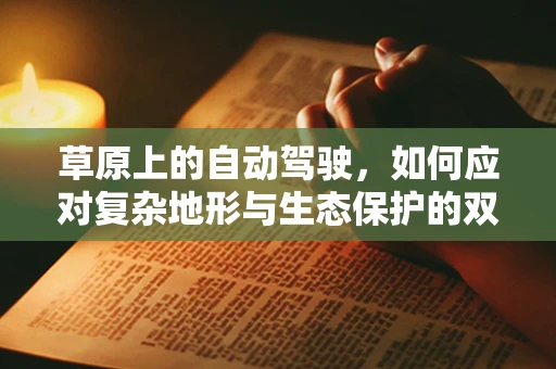 草原上的自动驾驶，如何应对复杂地形与生态保护的双重挑战？