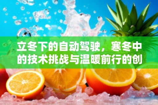 立冬下的自动驾驶，寒冬中的技术挑战与温暖前行的创新之路
