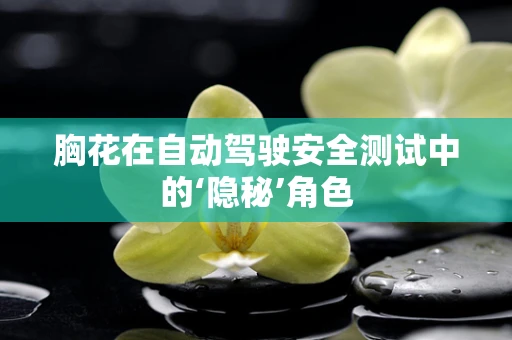胸花在自动驾驶安全测试中的‘隐秘’角色