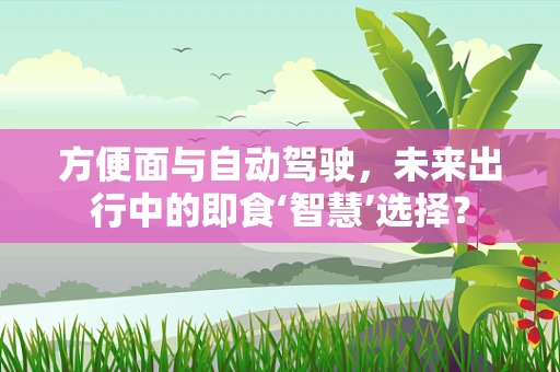 方便面与自动驾驶，未来出行中的即食‘智慧’选择？