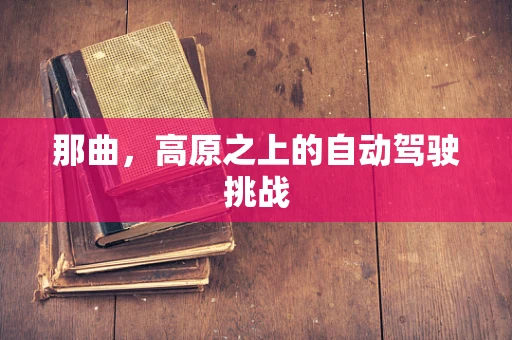 那曲，高原之上的自动驾驶挑战