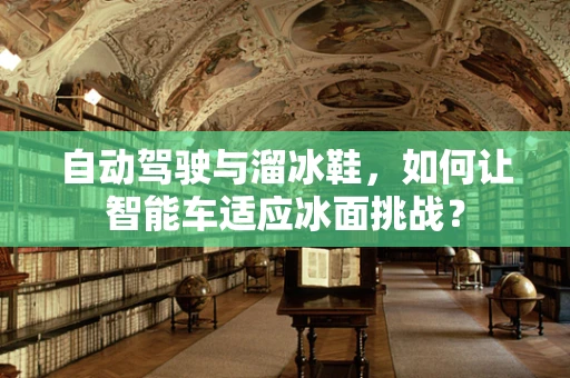 自动驾驶与溜冰鞋，如何让智能车适应冰面挑战？