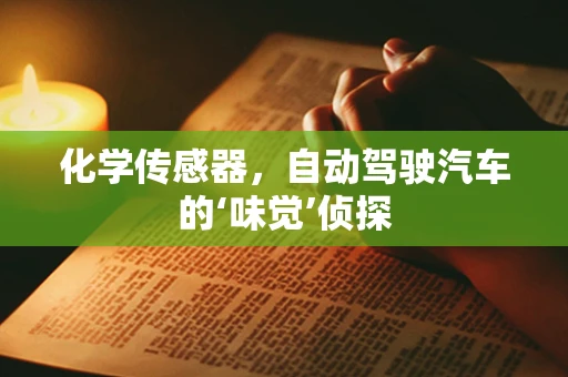 化学传感器，自动驾驶汽车的‘味觉’侦探