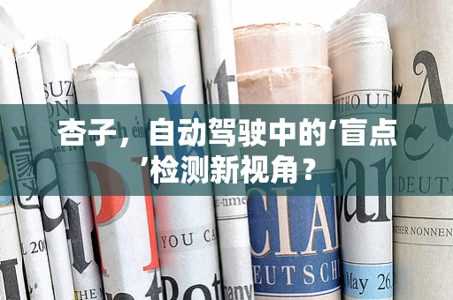 杏子，自动驾驶中的‘盲点’检测新视角？