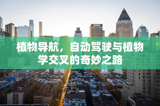 植物导航，自动驾驶与植物学交叉的奇妙之路
