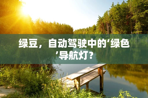 绿豆，自动驾驶中的‘绿色’导航灯？