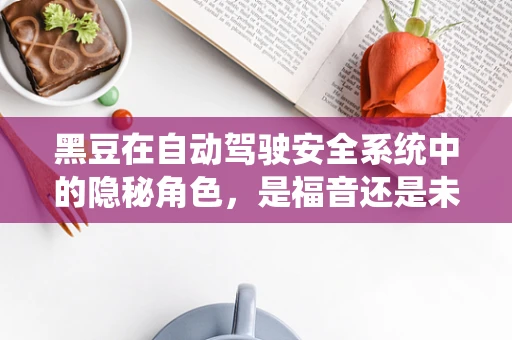 黑豆在自动驾驶安全系统中的隐秘角色，是福音还是未知数？