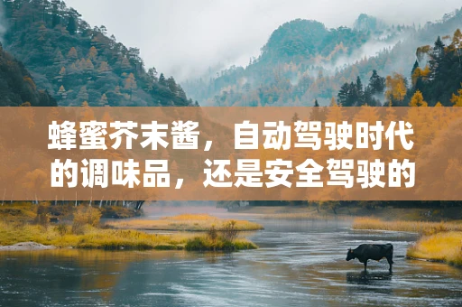 蜂蜜芥末酱，自动驾驶时代的调味品，还是安全驾驶的绊脚石？