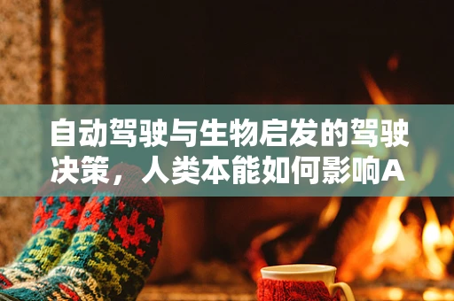 自动驾驶与生物启发的驾驶决策，人类本能如何影响AI的决策？