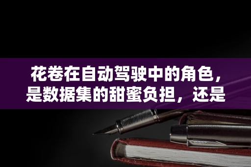 花卷在自动驾驶中的角色，是数据集的甜蜜负担，还是算法的试金石？