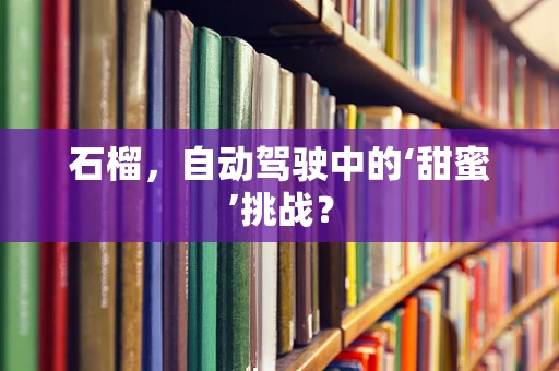 石榴，自动驾驶中的‘甜蜜’挑战？