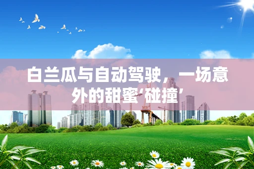 白兰瓜与自动驾驶，一场意外的甜蜜‘碰撞’
