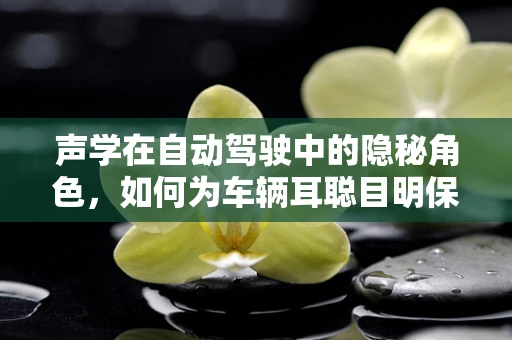 声学在自动驾驶中的隐秘角色，如何为车辆耳聪目明保驾护航？