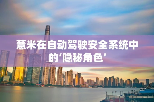 薏米在自动驾驶安全系统中的‘隐秘角色’