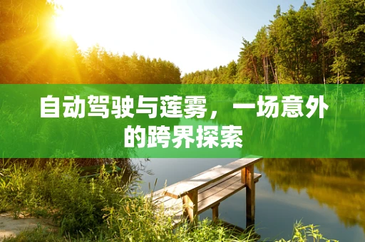 自动驾驶与莲雾，一场意外的跨界探索