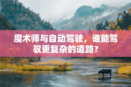 魔术师与自动驾驶，谁能驾驭更复杂的道路？