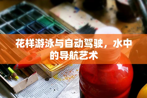 花样游泳与自动驾驶，水中的导航艺术