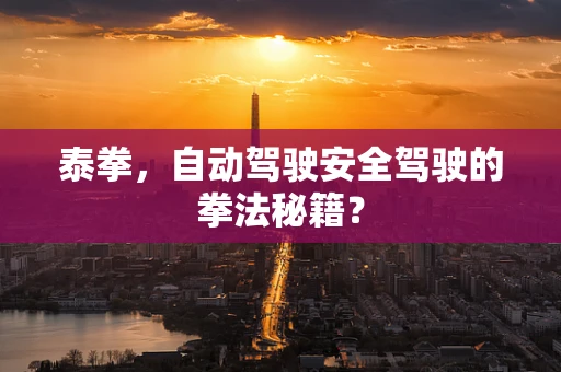 泰拳，自动驾驶安全驾驶的拳法秘籍？