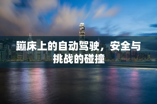 蹦床上的自动驾驶，安全与挑战的碰撞