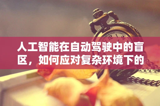 人工智能在自动驾驶中的盲区，如何应对复杂环境下的决策挑战？