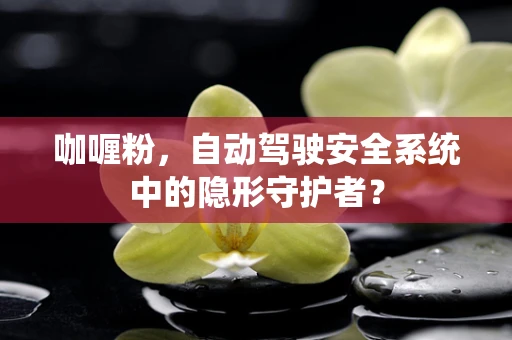 咖喱粉，自动驾驶安全系统中的隐形守护者？